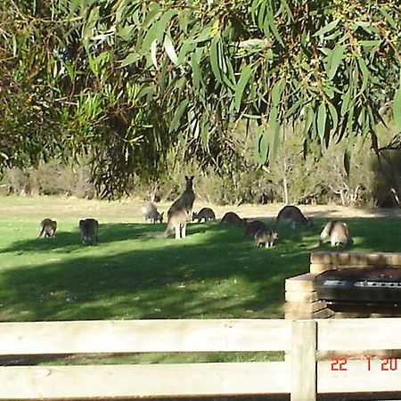 Mountain View Motor Inn & Holiday Lodges Halls Gap Zewnętrze zdjęcie